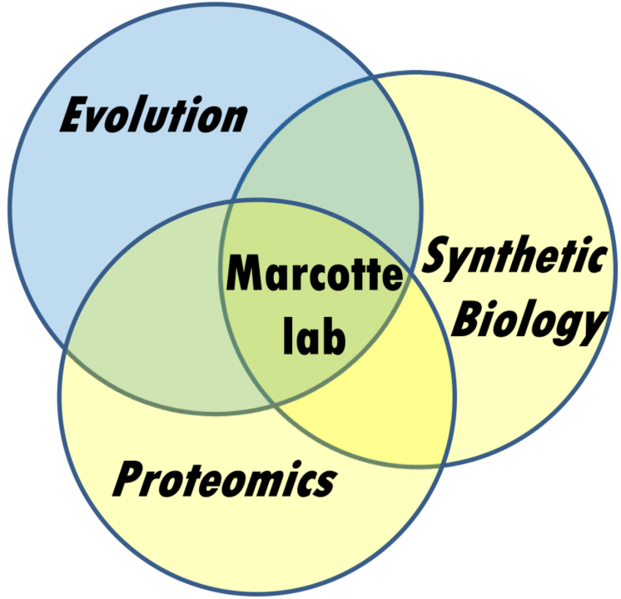 File:Venn.png