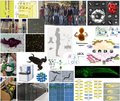 Thumbnail for version as of 12:15, 21 January 2022