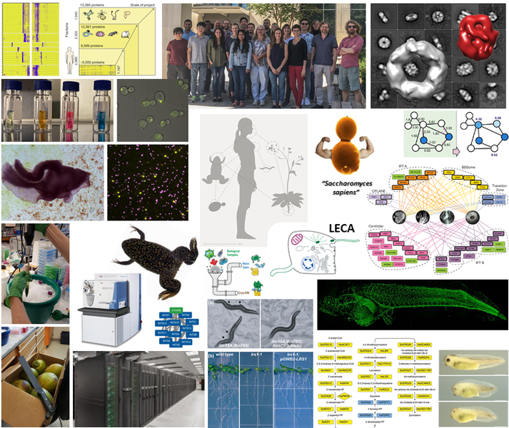 File:LabSplash1.png