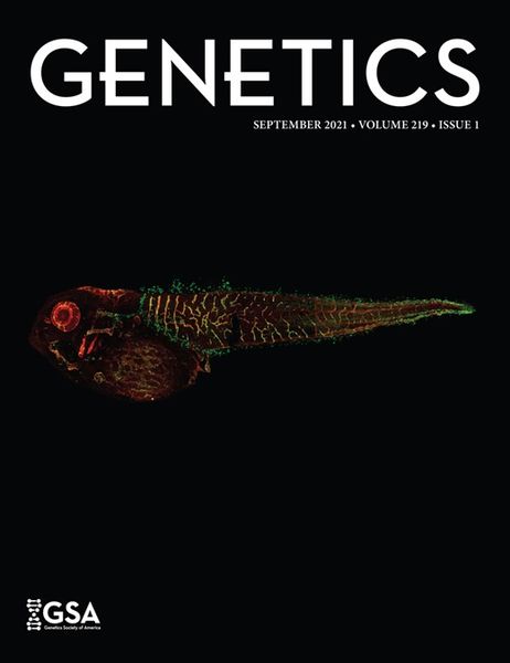 File:GeneticsVDACover2021.jpg