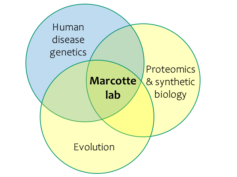 File:MarcotteLab-Venn.png