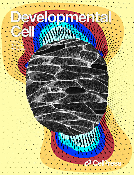 File:DevCellHuebnerCover 2022b.jpg